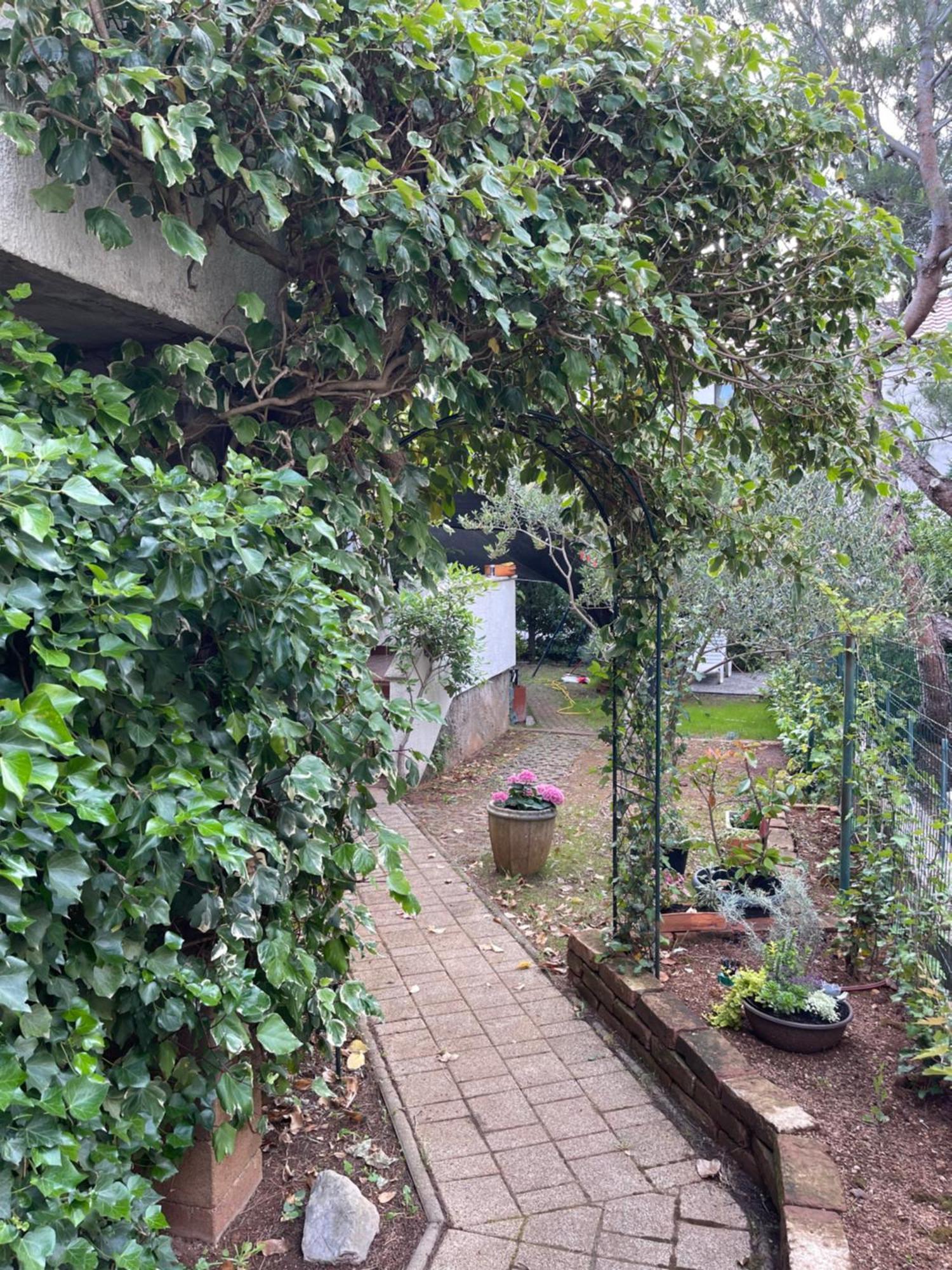 Apartments Natasa Punat Exterior photo